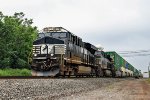 NS 8178 on 22X